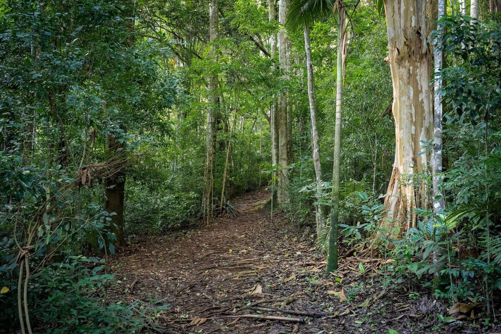 Studios De Luxo Granja Brasil Itaipava Petrópolis 외부 사진